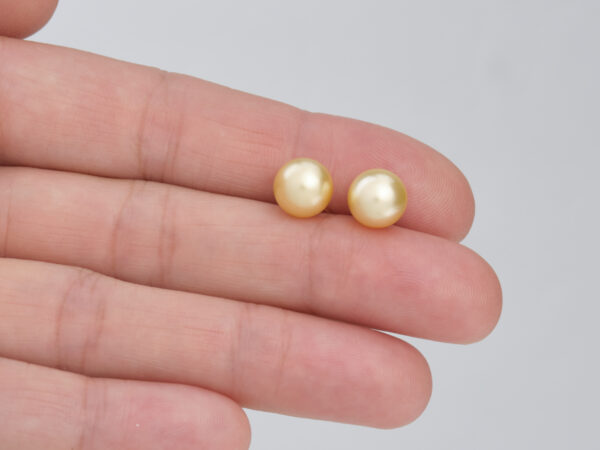 South Sea Champagne Pearl Earrings 8mm - Image 4
