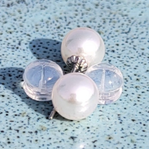 Akoya White Pearl AAA Earrings 6mm