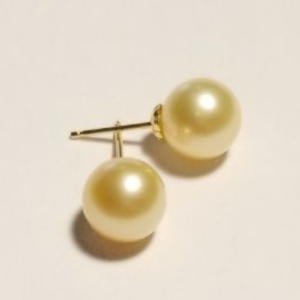 South Sea Champagne Pearl Earrings 9mm